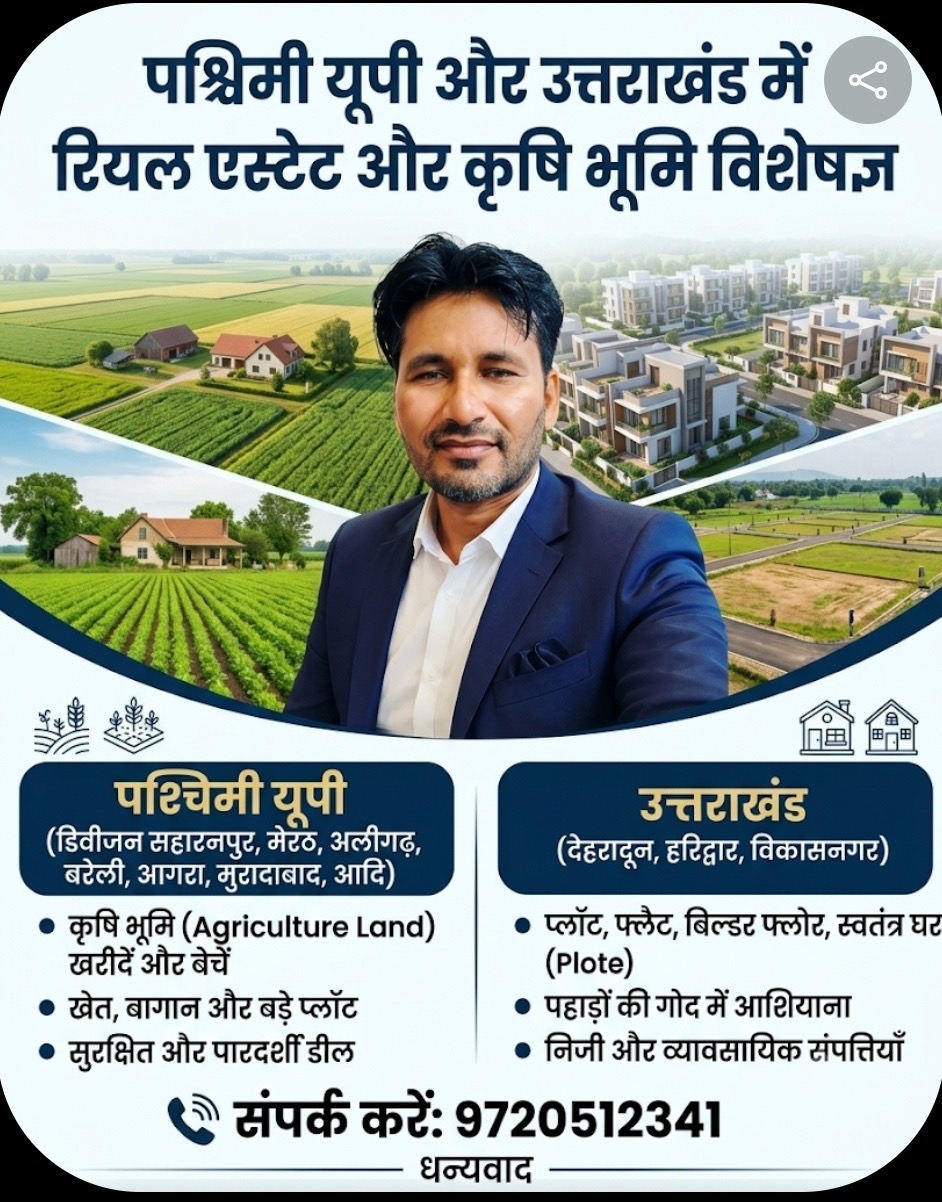 Real Estate 1